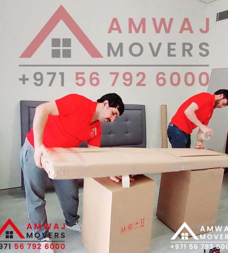 Other Goods Shifting